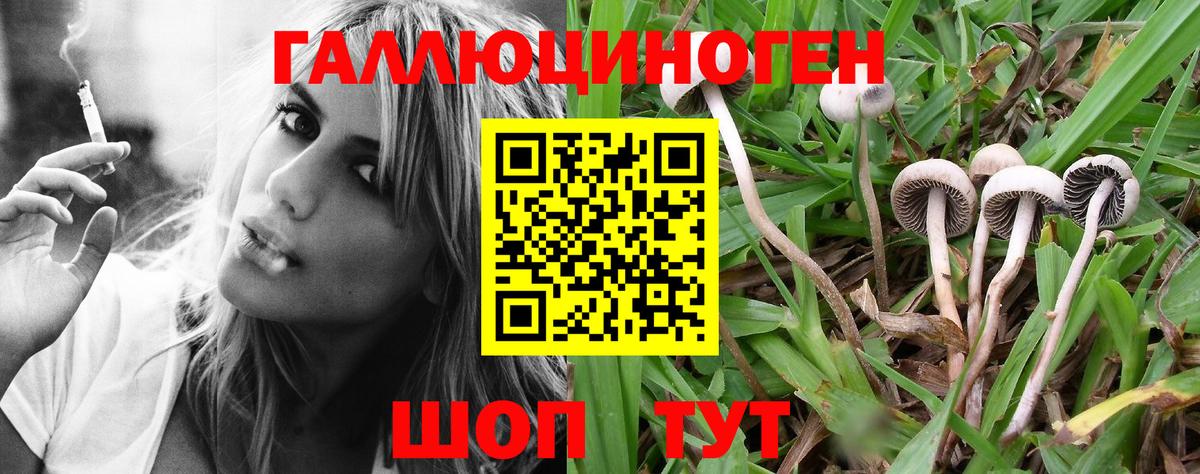 купить наркотик  Вход с VPN  Бузулук  Галлюциногенные грибы MAGIC MUSHROOMS 