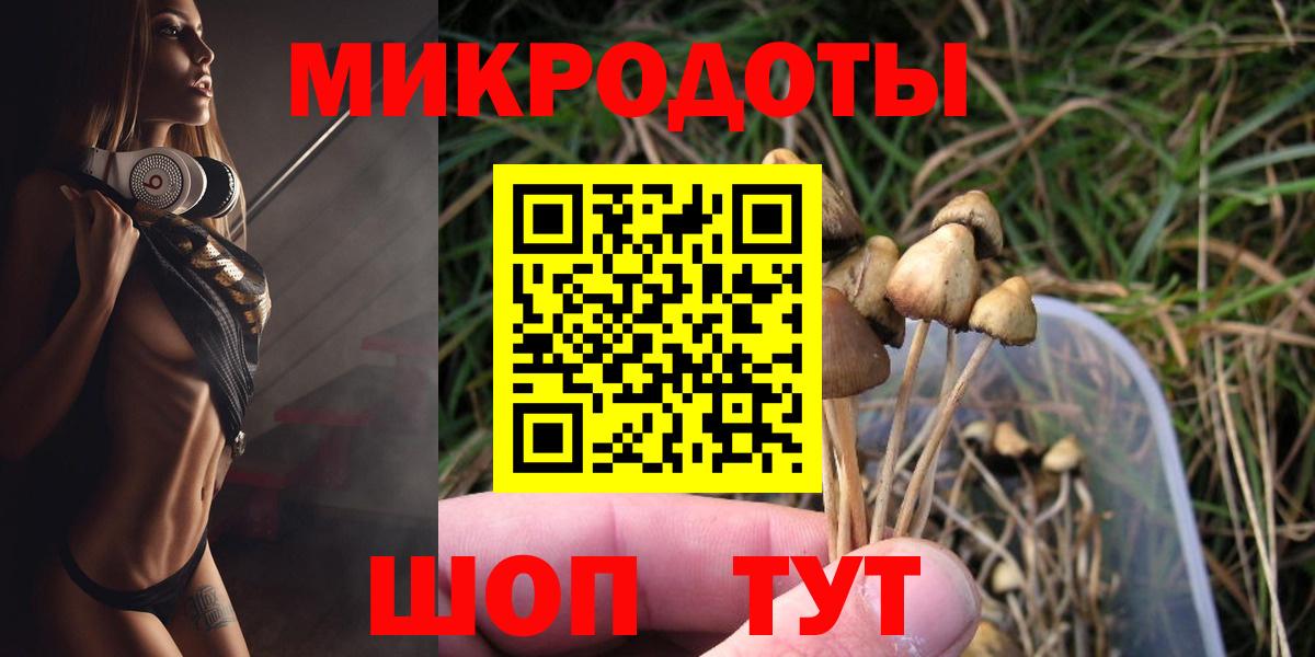 Галлюциногенные грибы Psilocybe Бузулук